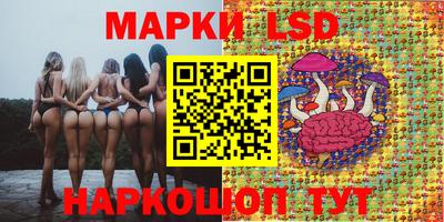 стаф Гусь-Хрустальный