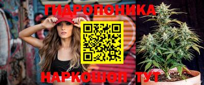 прущий лед Гусев