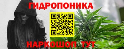 spice Гусиноозёрск