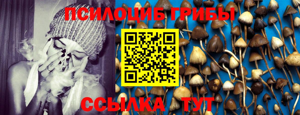 Псилоцибиновые грибы ЛСД Гулькевичи