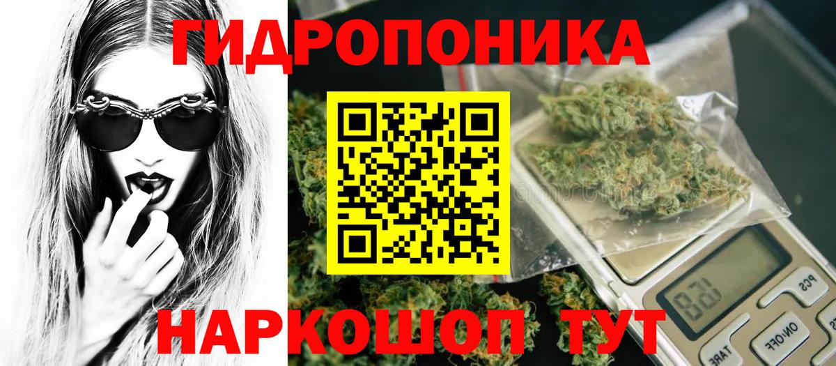 Бошки марихуана SATIVA & INDICA  Вход с VPN  Шишки марихуана планчик  Гулькевичи  Канабис индика 